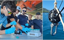 ​La science participative se jette à l’eau  