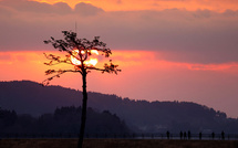 Japon: comment des rumeurs infondées de séisme font fuir les Hongkongais