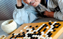 Jeu de go: l'Intelligence artificielle dame le pion au champion d'Europe