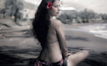 Festival de couleurs pour les Hibiscus