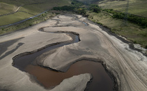 Le nord de l’Europe frappé par une sécheresse exceptionnelle