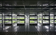 Japon: première ferme robotisée du monde prévue pour 2017