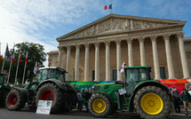 Pesticides: la bataille tactique s'ouvre à l'Assemblée sur la loi Duplomb
