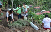 PUNA NUI et PUNA ITI : lancement d'un jardin partagé et de potagers individuels
