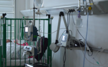 Dengue 1 : 49 hospitalisations en deux mois, 60% concernent des enfants
