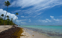 La Martinique et la Guadeloupe en alerte rouge pour mauvaise qualité de l'air