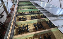 Russes et Ukrainiens vont échanger tous leurs prisonniers jeunes ou blessés