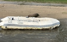 Vols d'annexes et de moteurs à Taina : trois hommes mis en cause