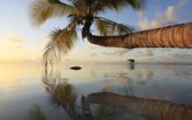 Tourisme: La Polynésie débarrassée du virus Zika, une destination sûre