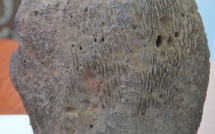 Météorite ou pas ? Le propriétaire d'une étrange pierre voudrait en être sûr