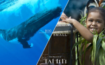 Les Polynésiens, nouvel atout pour le tourisme