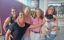 Un Hackathon solidaire pour la cause animale