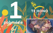 Polynésie la 1ère : Le parquet ouvre une enquête pour “trafic de viande de tortue”