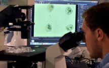 Produire des tissus humains par imprimante 3D: le défi de Poietis