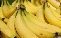 La peau de banane révèle les stades du mélanome cutané