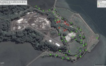 Des fourmis de feu détectées à Papeari