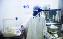 Zika: des chercheurs mettront gratuitement à disposition leurs découvertes