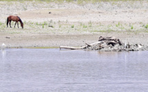 En Colombie, la sécheresse tue les poissons et vide les fleuves