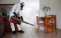 Zika : les microcéphalies pas liées aux produits anti-moustiques en Polynésie