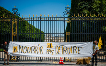 Agriculture: compromis trouvé au Parlement sur la loi Duplomb, avec le retour décrié d'un pesticide