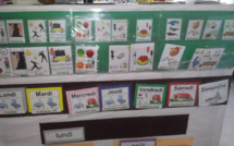 Enseignement du reo mā’ohi vers une généralisation progressive et efficace