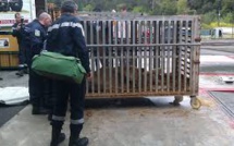 Un an avec sursis et amendes contre un Espagnol qui transportait 21 animaux sauvages