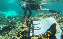Tamari’i Pointe des Pêcheurs en appelle aux dons