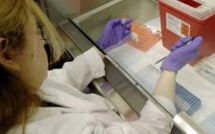 Des virus mangeurs de bactéries pour lutter contre la résistance aux antibiotiques