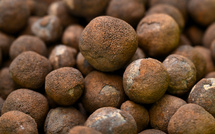 Aux îles Cook, les riches profondeurs du Pacifique aiguisent les appétits