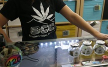 Surdoses fréquentes de cannabis dans le Colorado depuis la légalisation