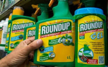 Pesticides: l'Europe envisage de renouveler l'autorisation du glyphosate
