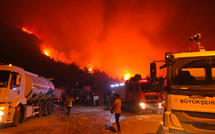 La Turquie suffoque, ses forêts brûlent
