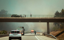 Le Portugal lutte contre plusieurs feux de forêt