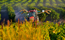 Loi Duplomb "dangereuse": scientifiques et associations de patients interpellent le Conseil constitutionnel