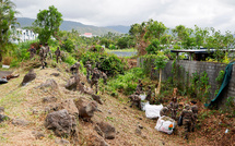 Chikungunya: les cas importés de la Réunion toujours en recul, un cas de "West Nile" identifié