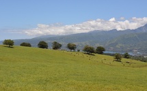 Plan de décentralisation : accueil mitigé des élus de l'assemblée