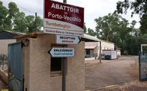 Maltraitance animale: plainte de L214 contre l'abattoir de Porto-Vecchio