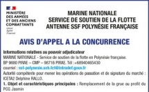 LA MARINE NATIONALE SERVICE DE SOUTIEN DE LA FLOTTE ANTENNE SSF POLYNÉSIE FRANÇAISE LANCE UN AVIS D'APPEL A LA CONCURRENCE : REMPLACEMENT DE LA GRUE AU PROFIT DU PCG JASMIN 