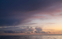 Océans: des scientifiques mettent en évidence l'efficacité de très grandes aire protégées