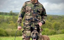 Pirate, une nouvelle recrue pour la gendarmerie au Fenua