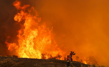 La canicule et les incendies ne laissent aucun répit à l'Europe du Sud