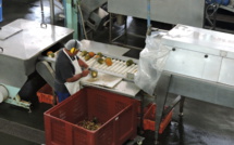 Une proposition de loi pour protéger l'emploi local