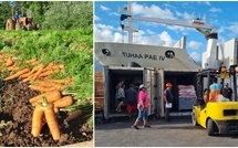 ​Les carottes de Tubuai sont arrivées