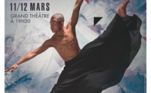 Rencontre artistique de l'Académie Annie Fayn avec The New Zealand School of Dance