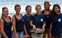 Deux tortues vertes relâchées à Temae  