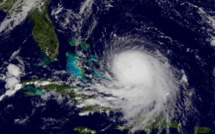 Epaves et arbres permettent de retracer le passage d'ouragans dans les Caraïbes