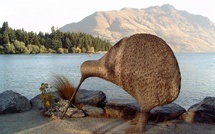 La Nouvelle-Zélande assouplit les règles d'accès à la propriété pour les riches étrangers