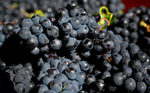 Prison ferme et lourds dommages et intérêts pour un producteur de faux champagne