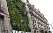 Avec des "Paris-culteurs", Paris veut végétaliser ses murs et faire pousser des légumes