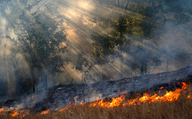 Le changement climatique a multiplié par 40 la probabilité de vagues de chaleur comme celle en Espagne et au Portugal